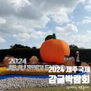 신례초등학교 | 2024 제주 국제 감귤박람회 주차 셔틀버스 방문 후기