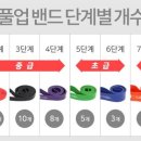 크로스핏 킹콩 이미지