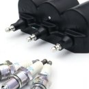 미주자동차나라 이미지