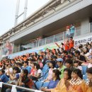 한밭야구장 이미지