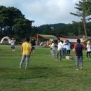 제주돌하르방캠핑장 이미지