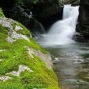 늘푸른산장 이미지