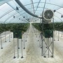 광시농장 이미지