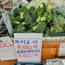 대연동 못골시장 장보고 야채가게 그리고 정가네호떡 옆 야채가게 복덩이네 비교기