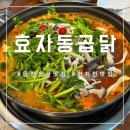 효자 정신비 네이버블로그