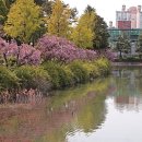 건국대학교 이미지