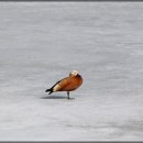 삼덕공원 이미지