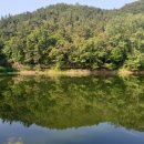 큰숲작은도서관 이미지