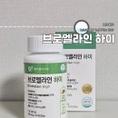 웰리벨라이프