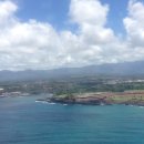 비치버거 이미지