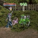 스킨필드