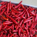 계룡산 무농약 햇고추가루판매 이미지