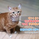 강변 농장 이미지
