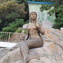 장승포항(지심도 도선) 이미지