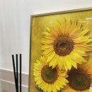 해바라기수학교습소 - 동두천시 동광로 87 | 해바라기수학교습소