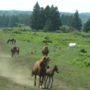 영한목장 이미지