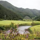 에콜리안정선골프장 이미지