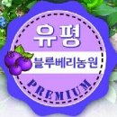 유평농장 이미지