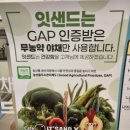 잇샌드나주 이미지