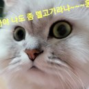 중원당구클럽 이미지