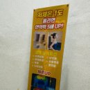 창동힐링점핑