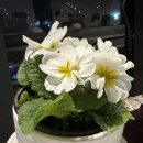 몬테비안코 | 결혼기념일 서해대교뷰 레스토랑 몬테비안코 바닷가재코스 후기