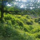 공이보건진료소 이미지