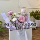 꽃피우리