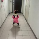 아영목장 이미지