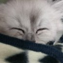 구구동물병원 이미지