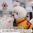 (주)케어위드