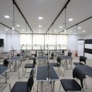 다솜애견 이미지