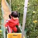 팜스타마트 네이버블로그
