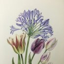 보테니컬 아트 이미지