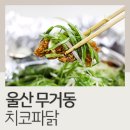 치코파닭 | 울산 무거동 배달 맛집 치코파닭 마늘간장 후기