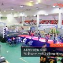 KT올래IPTV 채널:789 스포츠 킥복싱 중계 이미지