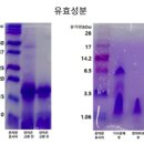 나율한의원 이미지