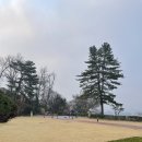 GR(부여군)-[구룡로]-상-2 | Vasko Popa의 시세계