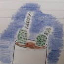 [과학] 푸른이들이 들려주는 9월 나무이야기^^ 이미지