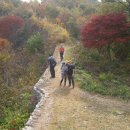 100차 기념산행 강천사-광덕산-시루봉-남문-담양관광호텔 2 이미지