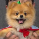 태오농장 이미지