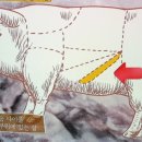 마포돼지한마리식당 이미지