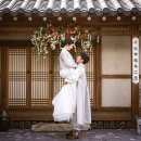 꽃비단비 - 통영시 | 꽃비단비