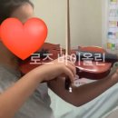 로즈바이올린교습소 이미지