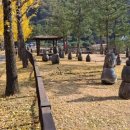 소금랜드 이미지