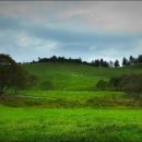 새하얀목장 이미지