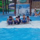 용인대골드태권도장 이미지