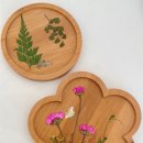 심리 힐링 압화 이미지