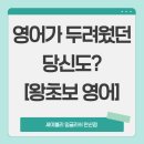 삼일로9L | 안산 영어회화 | 영어가 두려웠던 당신도 주인공으로! 세이블리잉글리쉬 안산점 왕초보 영어 후기
