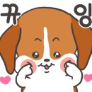 아르멍미르멍 이미지